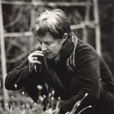 tvl-alice-waters-59e2a8ca0bb352fa86a700150824ddf6