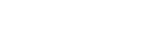 Viking_Brand_Logo